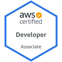 Developer - Associate icon