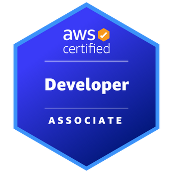 Developer - Associate icon
