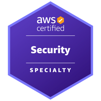 Security - Specialy icon